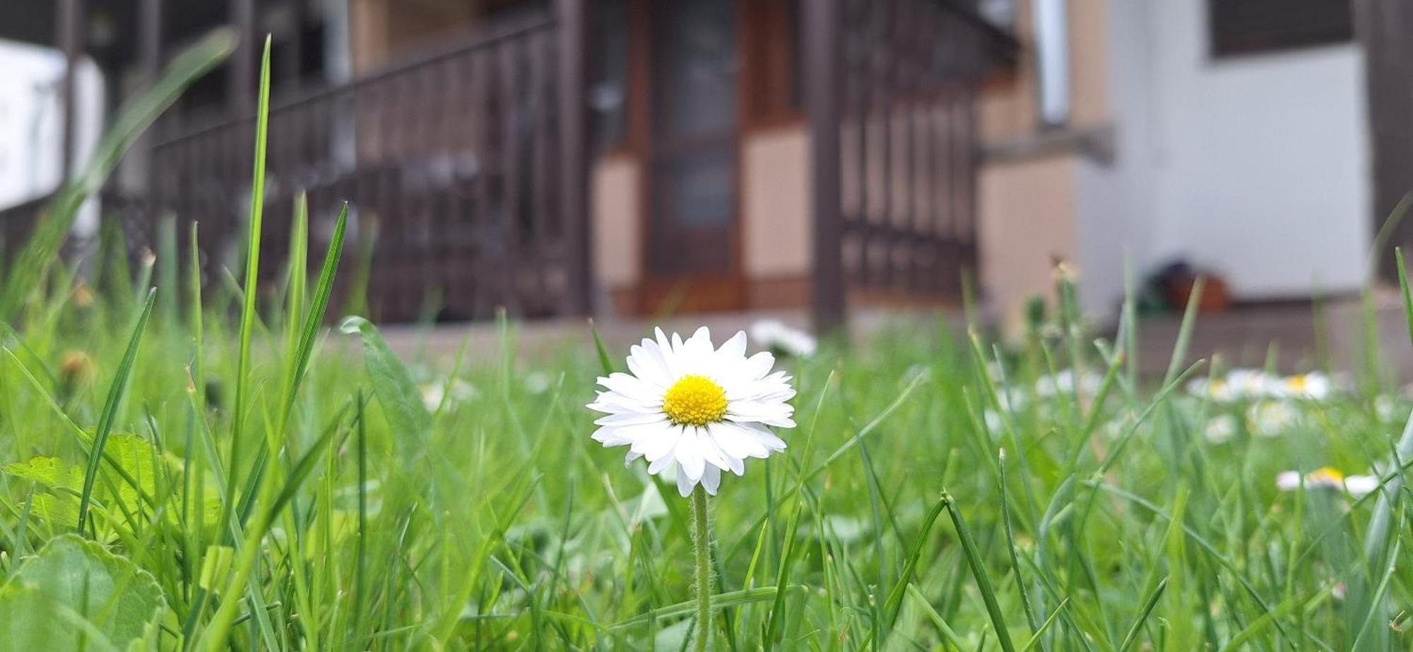 For You Apartman Gyula Extérieur photo